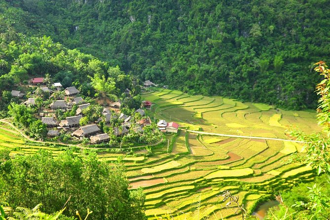 3-Day Trekking In Pu Luong Nature Reserve Private Tour - Quick reasons to book this Pu Luong private trek
