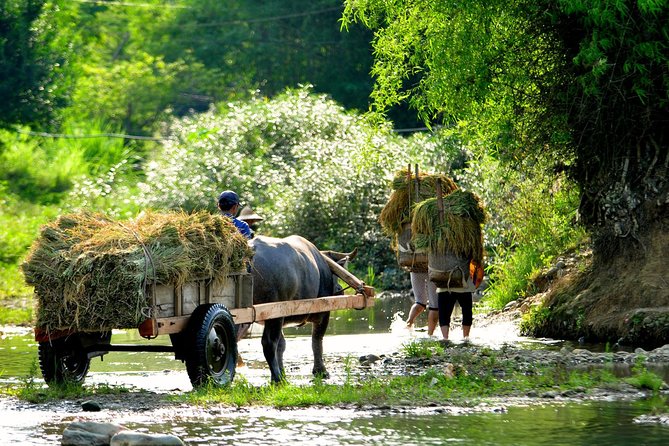 3-Day Trekking In Pu Luong Nature Reserve Private Tour - From Hanoi to Mai Chau: the road trip that actually matters