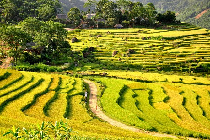 3-Day Trekking In Pu Luong Nature Reserve Private Tour - Day 2: sunrise chances and farming routines in Pu Luong