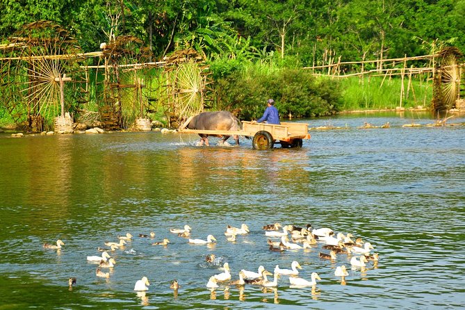 3-Day Trekking In Pu Luong Nature Reserve Private Tour - Pu Luong trekking with a licensed guide and a no-mess package