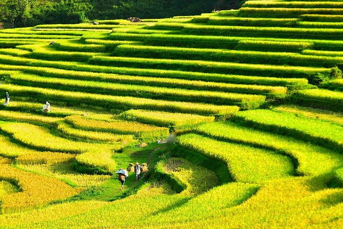 3 Days Pu Luong Off-road Trekking Best for Mountain Lovers - Key highlights I’d plan around