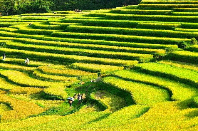 3 Days Pu Luong Off-road Trekking Best for Mountain Lovers - Day 2 Village Paths, Thai Weaving, and Hieu Waterfall Water Time