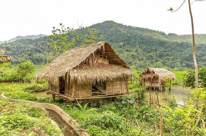 3 Days Pu Luong Off-road Trekking Best for Mountain Lovers - How the 19km Trekking Works in Real Life (and Who It Fits)