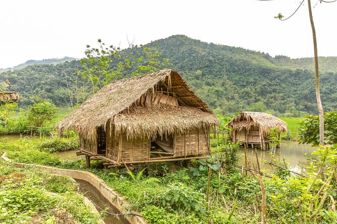 3 Days Pu Luong Off-road Trekking Best for Mountain Lovers - What You’ll Really Experience: Village Life, Water, and the Pace of Recovery