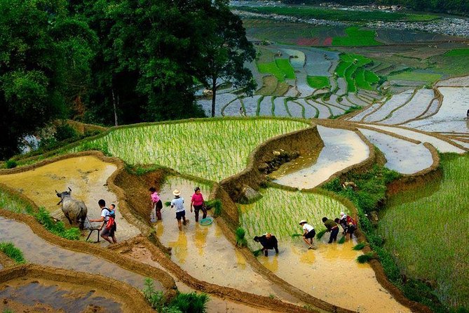 3 Days SAPA Real Experience at Local People House - Hanoi departure at 6:30am: the part you’ll either love or hate