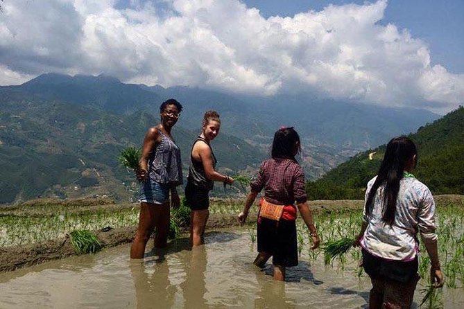 3 Days SAPA Real Experience at Local People House - Ta Van Village: where the trip turns personal