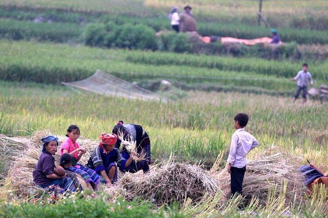 3 Days SAPA Real Experience at Local People House - Day 2: more trekking and field work learning