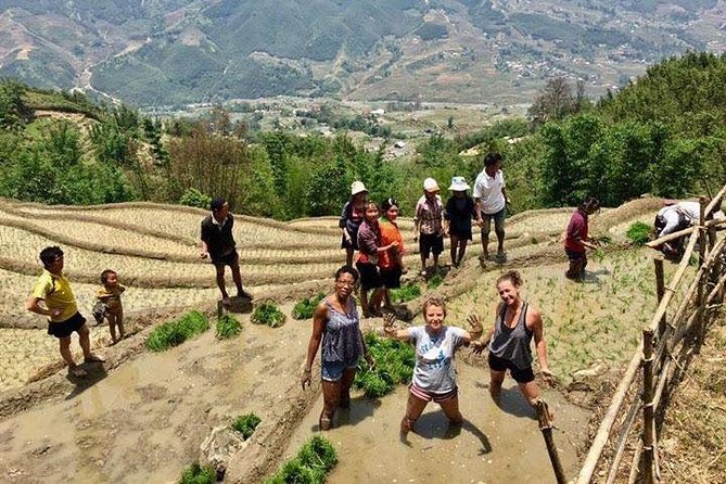3 Days SAPA Real Experience at Local People House - Day 3: waking with the host rhythm and optional bamboo views