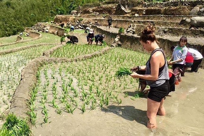 3 Days SAPA Real Experience at Local People House - Day 1: terrace fields, Sapa arrival, and your first village walk