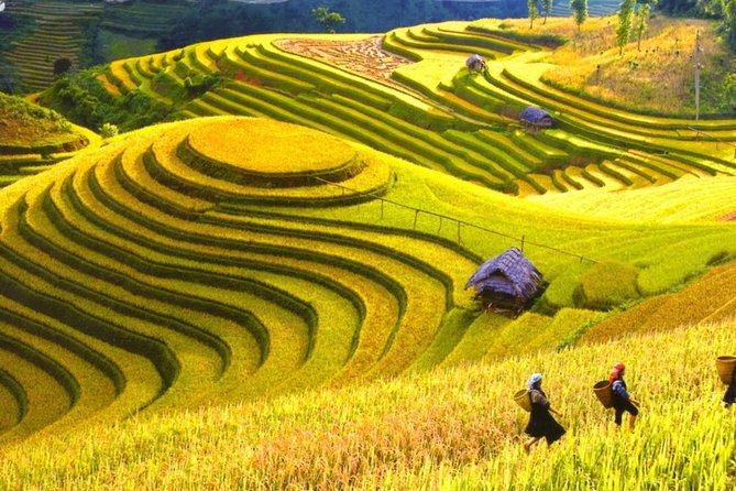 3 Days Sapa Tour with Night Train from Hanoi - Your guided trekking day in Sapa: active, scenic, and not self-navigation