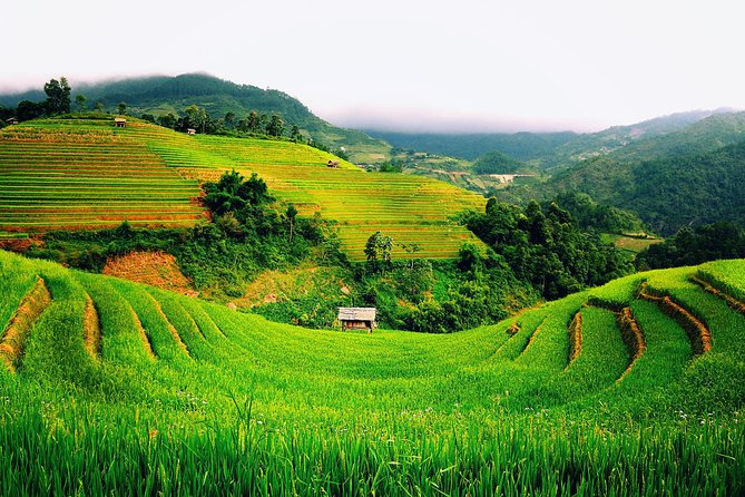 3 Days Sapa Tour with Night Train from Hanoi - Boutique accommodation in Sapa: comfort that helps you keep going
