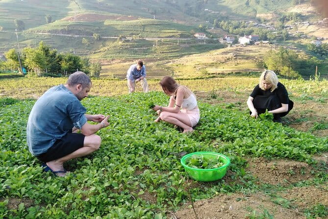3-Days Sapa Trekking With Local Guide Overnight in Tavan Village - Arriving in Sapa: quick timing, then you’re on the move