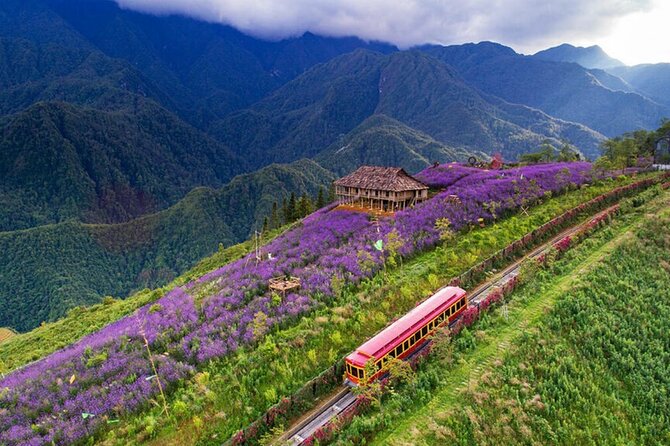3 Days Tour & Fansipan Mountain Hotel & Bungalow from Hanoi - Day 2: Fansipan peak day via cable car, then Ta Van homestay with a real trek