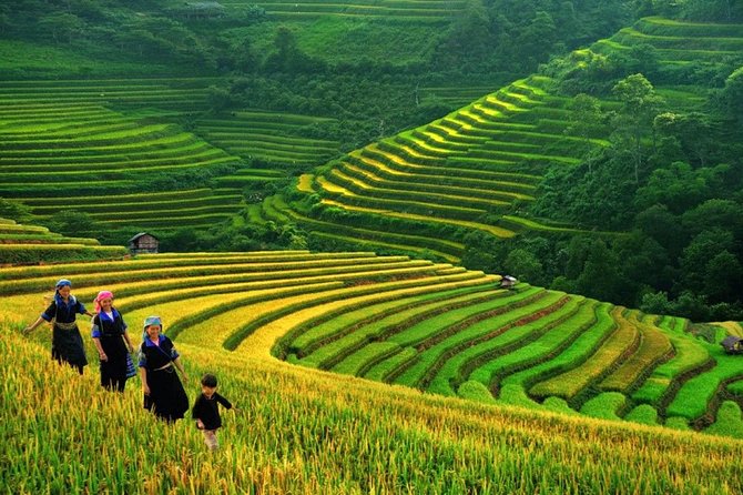 3-Night Sapa Trek and Homestay with Round Trip Transfer from Hanoi - Why this Sapa trip starts at 8:00 pm in Hanoi