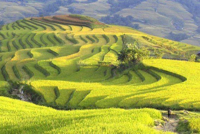 3-Night Sapa Trek and Homestay with Round Trip Transfer from Hanoi - Y Linh Ho: the first taste of the route rhythm