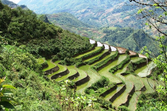 3-Night Sapa Trekking Tour from Hanoi - Why This Sapa Trek Starts in Hanoi Railway Night-Time