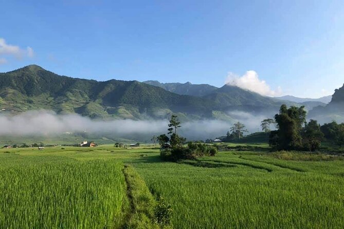 3D2N- Rice Terraces Treks & Easy rider from Sa Pa - Day 2 Mu Cang Chai: choosing your pace with a motorbike day or terrace trek