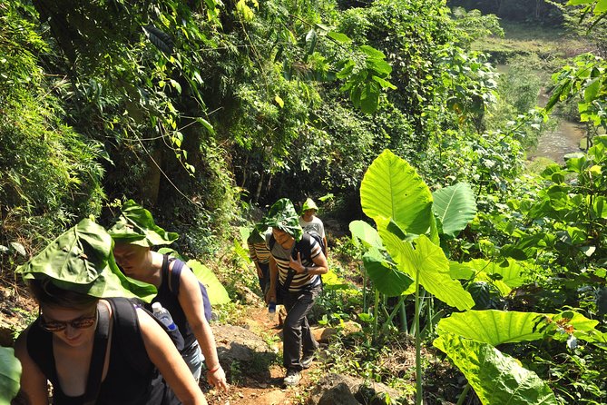 4-Day Jungle Trekking in Ba Be National Park - Ba Be in four days: why this trek works