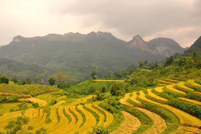 4-Day Jungle Trekking in Ba Be National Park - Homestays with Tay, Dzao, and Hmong families