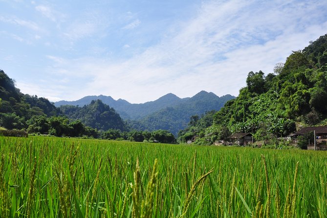 4-Day Jungle Trekking in Ba Be National Park - Trek Day 3: Dzao dress-up photos, forest descent, and Dau Dang Falls