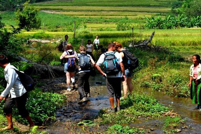 4-Day Jungle Trekking in Ba Be National Park - Door-to-door logistics from Hanoi (and why it matters)