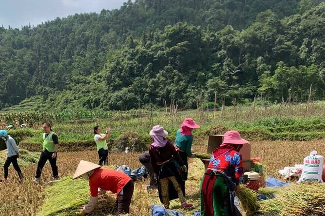 4-Days - Ha Giang loop- Cao Bang and Ban Gioc waterfall - Day 2: Dong Van Karst Plateau Geopark, King’s Palace, and Ma Pi Leng’s Sky Path
