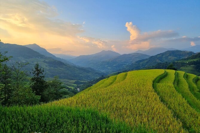 4 Days Trekking Hoang Su Phi, Ha Giang. Private Hiking Group - Key highlights worth your attention
