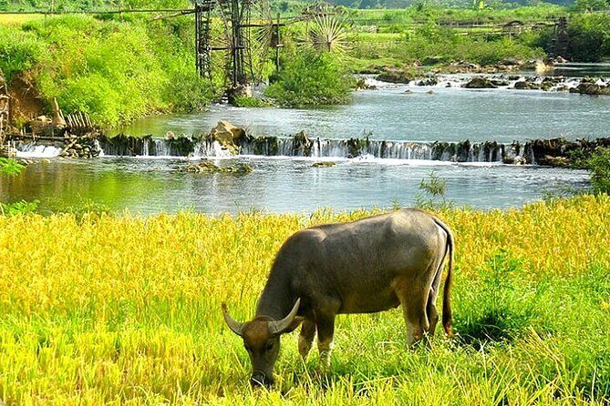 5, 6, 7 day Vietnam Itinerary | Charming | 2026 Northern Packages - Hanoi in one efficient first day: Tran Quoc, Ho Chi Minh complex, and more
