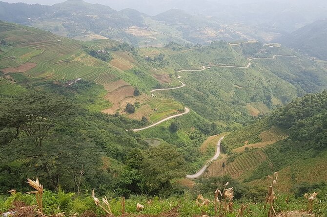5 Days 4 Nights Ha Giang Easy Driving Motorbike Tours - Price and Value: Why $209 Works (and when it won’t)