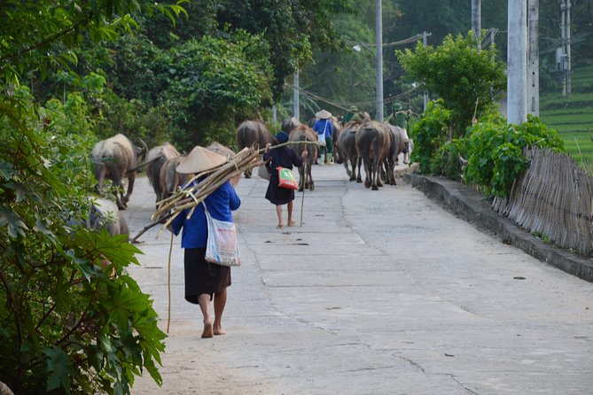 6-Day Off The Beaten Track Tour of North Vietnam from Hanoi - Day 3 Ma Pi Leng Pass to Meo Vac and Cao Bang: Markets, Fortress Views, and Big Pass Energy