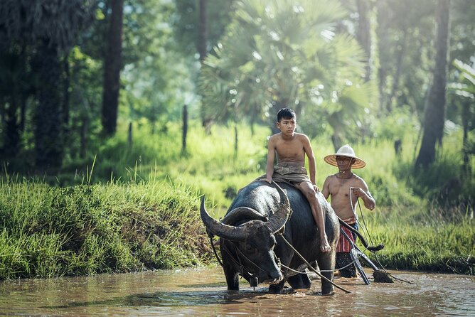 6 Days 5 Night Ha Long Bay, Ninh Binh and Sapa Tour - Key things that make this tour work