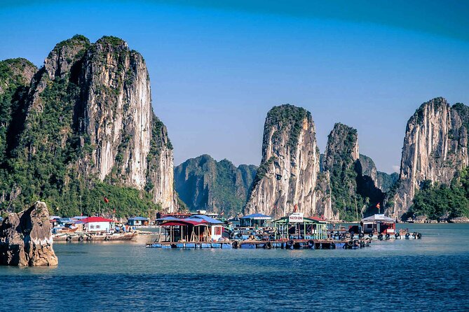 7-Day Vietnam Itinerary | Explore | Best 2026 North and Central - Cham Island (Cu Lao Cham): a short island escape with seafood lunch