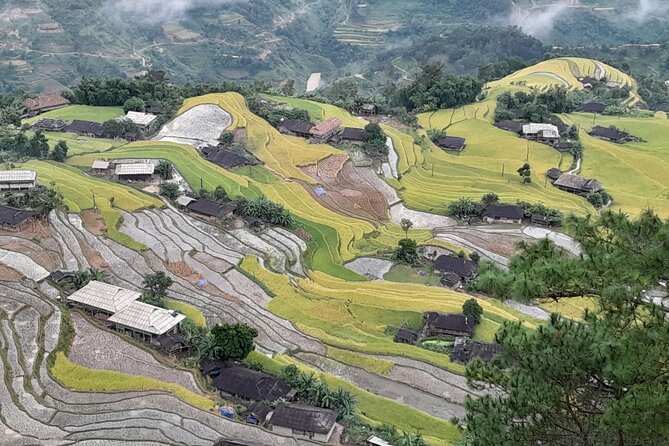7 Days Dong Van Ha Giang Private Loop Tour with Wellness Programs - Day 4: Thạch Sơn Thần Buckwheat Fields and the 7 Stone Statues Story