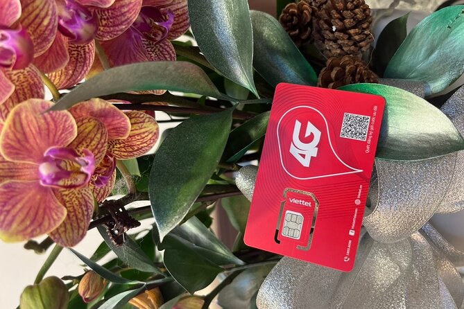 7 Days Unlimited DATA SIM CARD Vietnam - SIM Sizes and Setup: What You Need Ready on Arrival