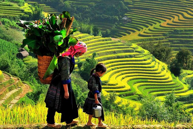 7 Days Vietnam Travel (Hanoi- Ninh Binh - Sapa - Ha Long) - Sapa with Cat Cat Village: Mountain Culture Plus Town Time