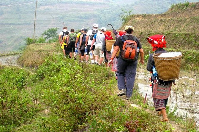 8-Day Discover Northern Vietnam Highlight: Hanoi - Ninh Binh - Sapa - Halong Bay - Sapa trekking without the mountain fog of confusion
