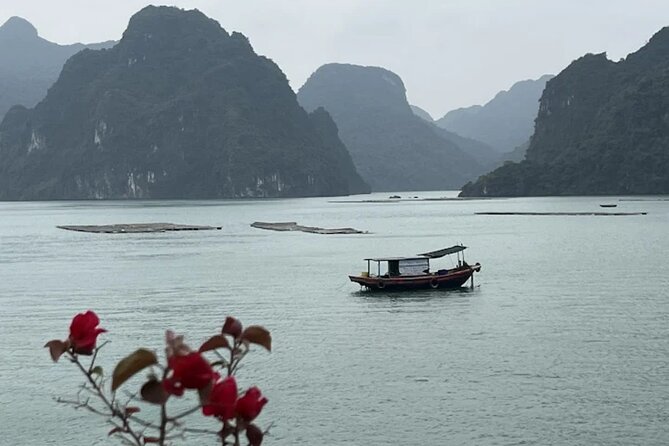 8 Days Package Tour in Vietnam - Day 5 Ba Na Hills: Cable Car Thrills, Golden Bridge Area, and French Village Stops