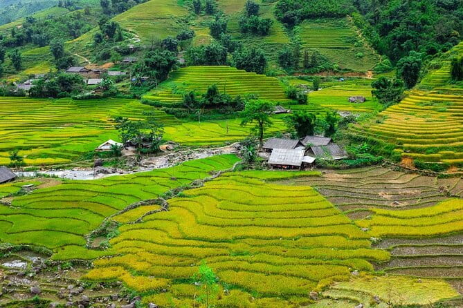 A day Trek to Rice Field in LaoChai-Tavan village-MuongHoa valley - Key highlights you’ll actually feel on the ground