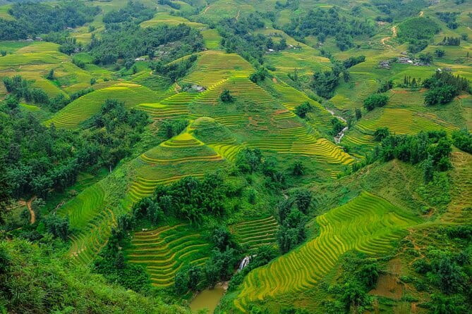 A day Trek to Rice Field in LaoChai-Tavan village-MuongHoa valley - The walk itself: 11–12 km with easy-to-medium terrain