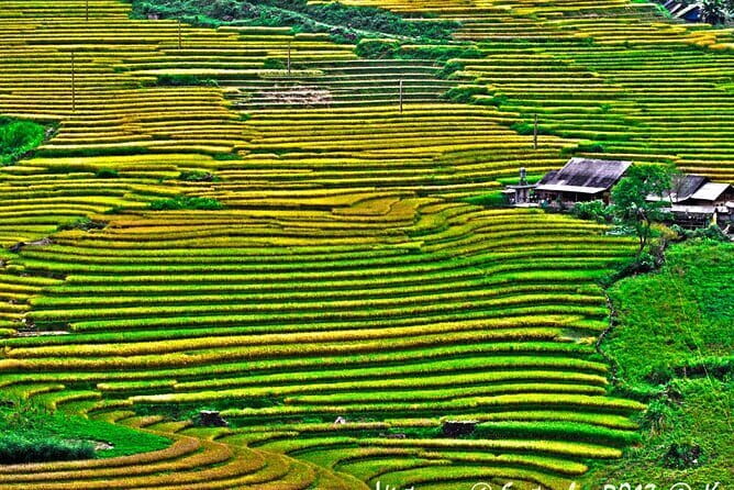 A day Trek to Rice Field in LaoChai-Tavan village-MuongHoa valley - Lao Chai–Ta Van: ethnic villages and a calmer valley rhythm