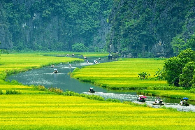 Amazing Ninh Binh Full Day: Hoa Lu - Tam Coc (VIP tour: group 7 people) - VIP-sized group (7 people) and why it matters