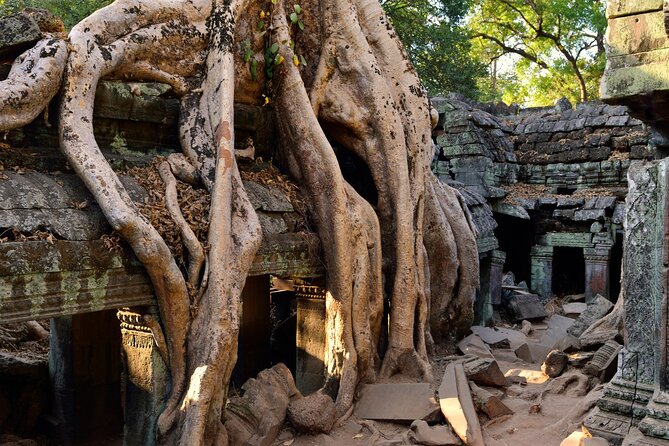 Authentic Vietnam And Cambodia 14-Days - From Hanoi to Siem Reap - Getting around: drivers, air-conditioned buses, and short flights