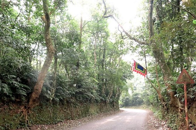 Ba Vi National Park Private Tour: Sightseeings & Jungle Hikking - Ba Vi’s best trick: switching moods fast