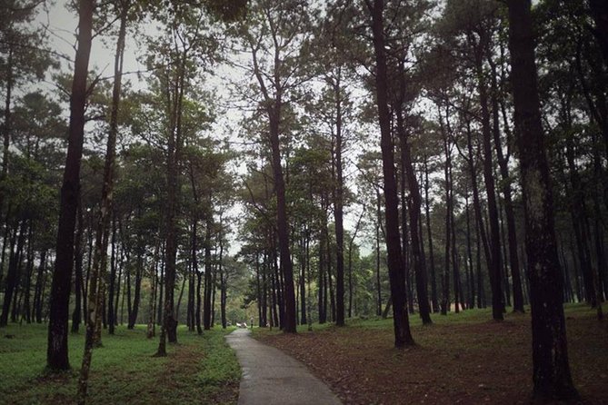 Ba Vi National Park Private Tour: Sightseeings & Jungle Hikking - Stop 1: Bavi Church Ruins in the pine forest