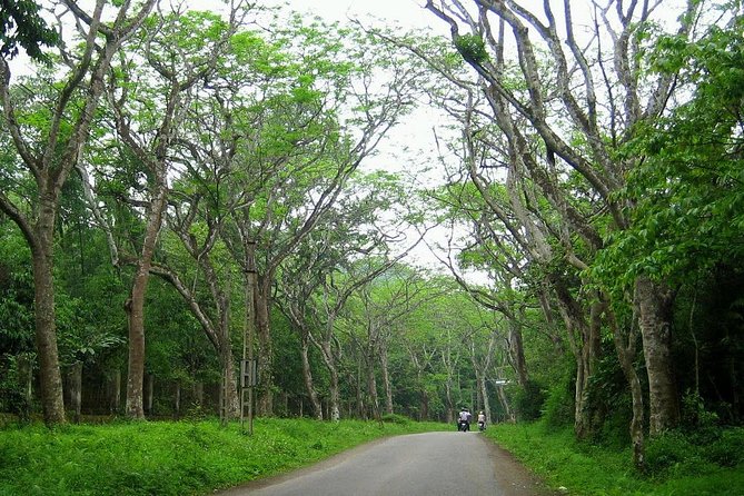 Ba Vi National Park Private Tour: Sightseeings & Jungle Hikking - Thuong Temple and lunch on your own: manage your energy