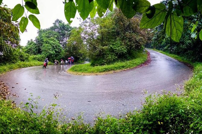 Ba Vi National Park Private Tour: Sightseeings & Jungle Hikking - Tan Vien peak fog: the day’s “weather moment”