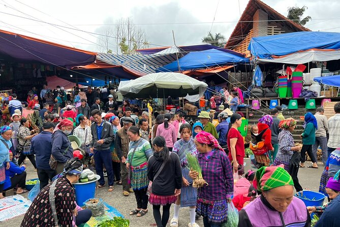 Bắc Hà Sunday Market Tour 2 days and 1 night - Logistics you should know before you go