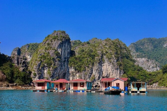 Bai Tu Long Bay 2 Day 1 Night Cruise - Day 1 on the water: swimming, sun time, and night fishing
