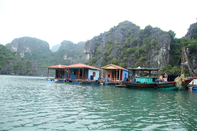 Bai Tu Long Bay Boutique Cruise: Visit Bai Tu Long bay & Overnight boat in 2 day - What’s actually included (and how that affects value)