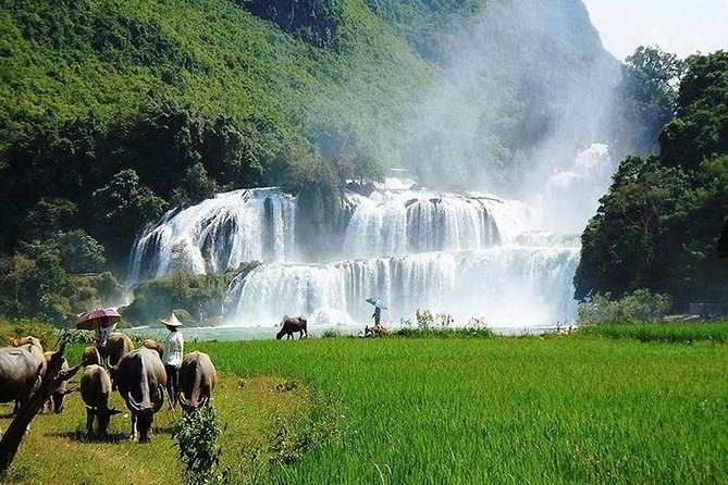 Ban Gioc Waterfall 3 Days 2 Nights From Hanoi - Who Should Book This Ban Gioc Tour (and Who Might Nope It)
